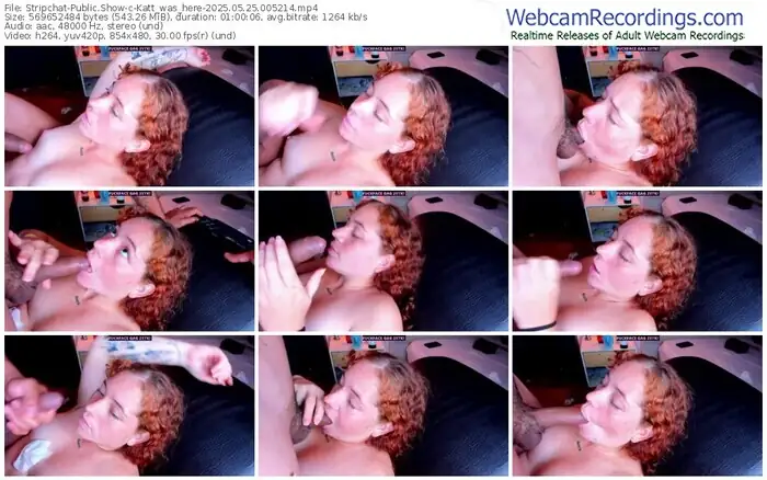2025/05/25/stripchat-katt_was_here-00-52-14