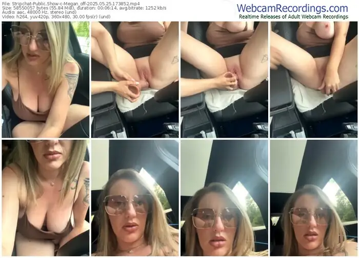 2025/05/25/stripchat-megan_off-17-38-52
