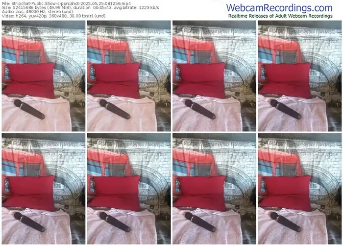 2025/05/25/stripchat-porcahot-08-12-59