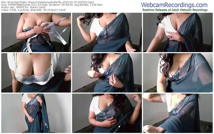 2025/05/25/stripchat-gleaming-butterfly-04-25-25