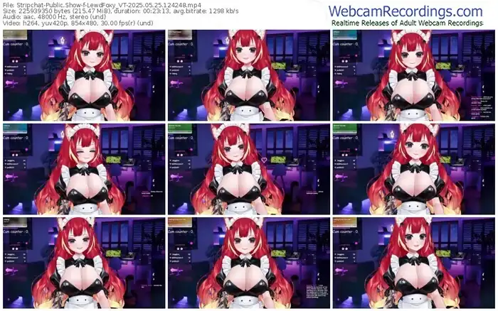 2025/05/25/stripchat-lewdfoxy_vt-12-42-48
