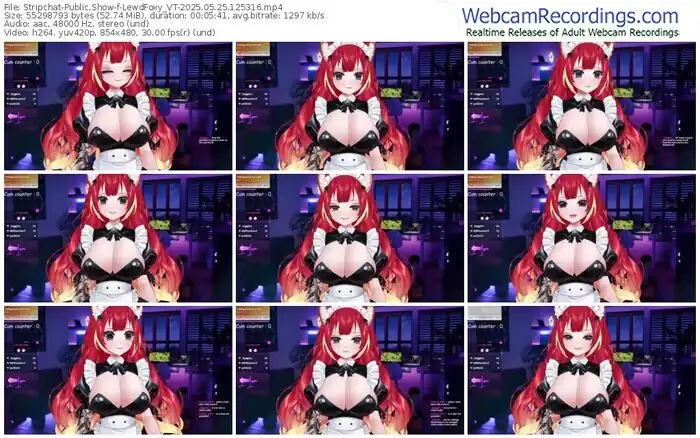 2025/05/25/stripchat-lewdfoxy_vt-12-53-16
