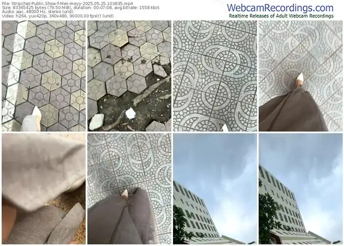 2025/05/25/stripchat-meii-meyy-10-38-35