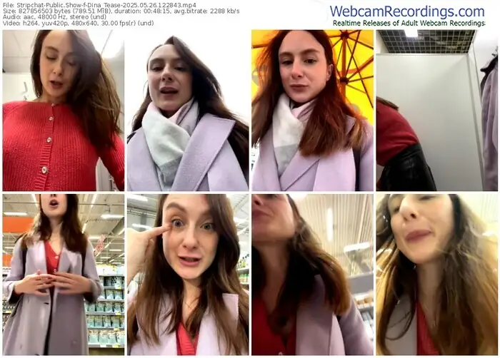 2025/05/26/stripchat-dina_tease-12-28-43