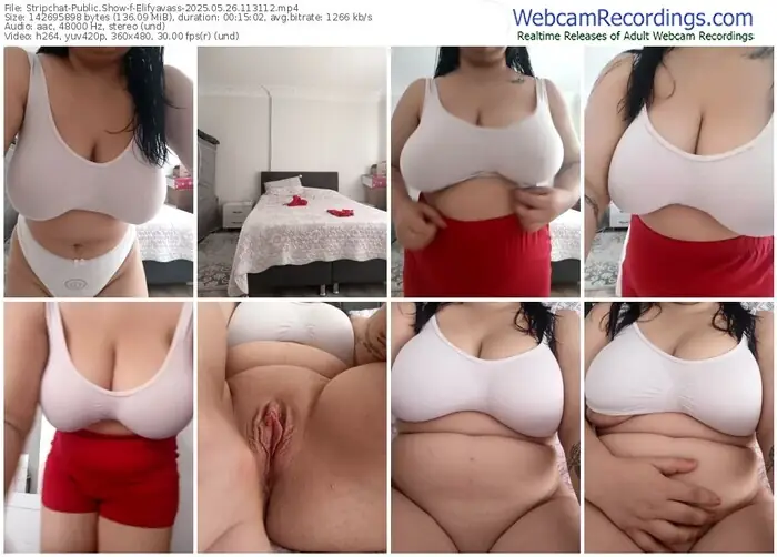 2025/05/26/stripchat-elifyavass-11-31-12