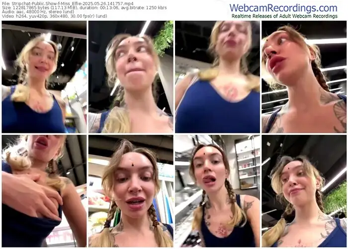 2025/05/26/stripchat-miss_elfie-14-17-57