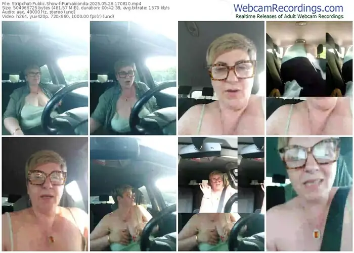 2025/05/26/stripchat-pumabionda-17-08-10