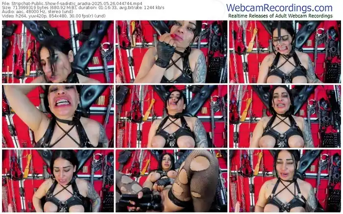 2025/05/26/stripchat-sadistic_aradia-04-47-44