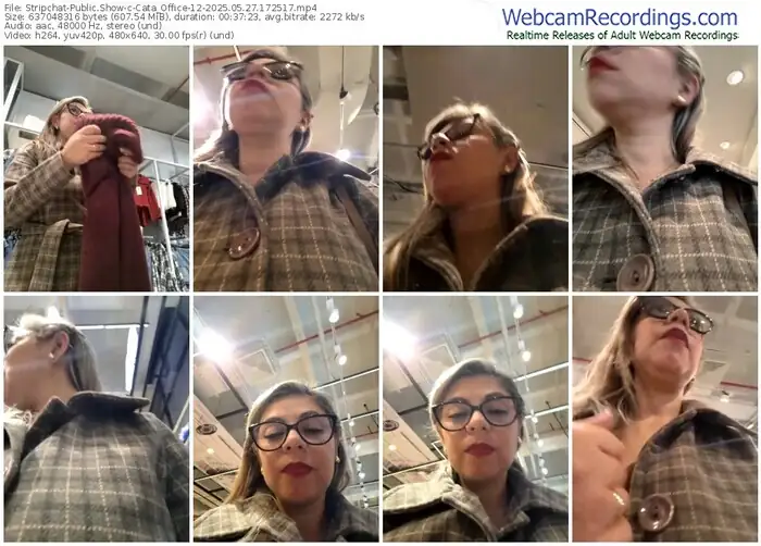 2025/05/27/stripchat-cata_office-12-17-25-17