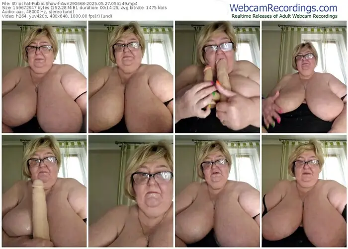 2025/05/27/stripchat-awn290668-05-51-49