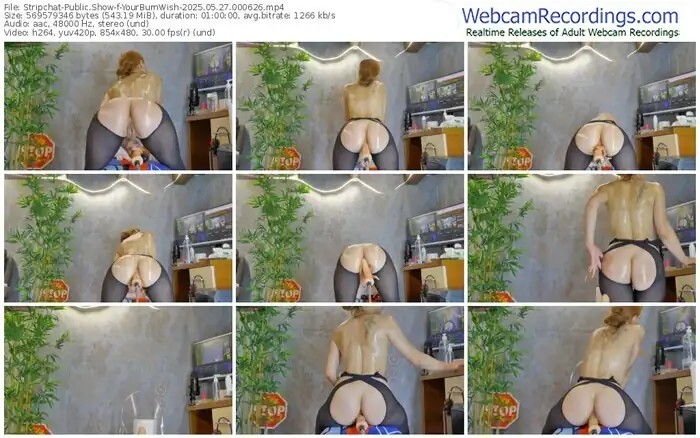 2025/05/27/stripchat-yourburnwish-00-06-26