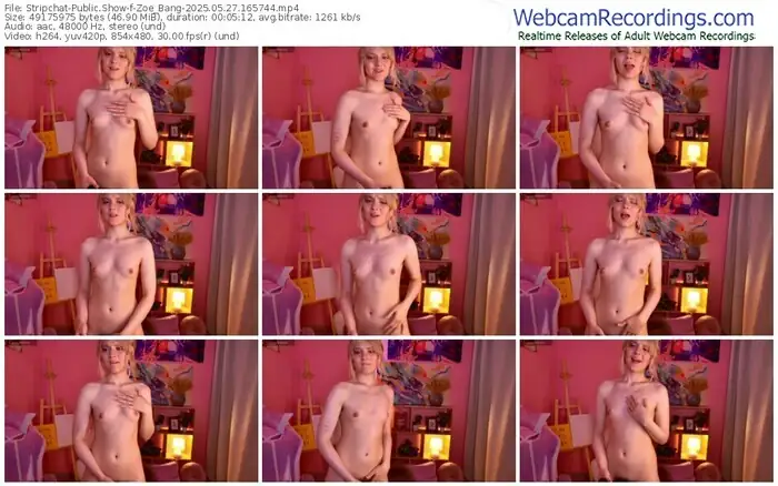 2025/05/27/stripchat-zoe_bang-16-57-44