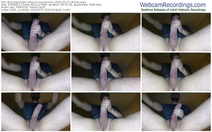 2025/05/27/stripchat-nass21cmm-18-16-41