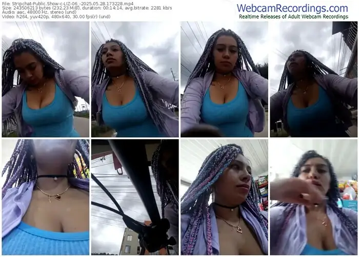 2025/05/28/stripchat-liz-06_-17-32-28