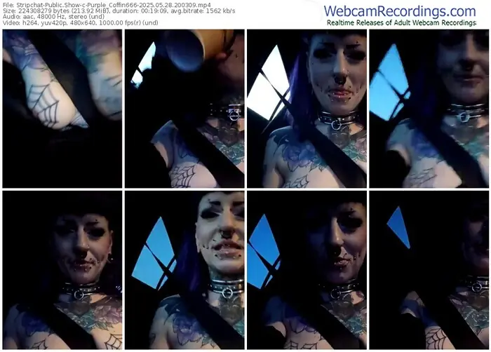 2025/05/28/stripchat-purple_coffin666-20-03-09