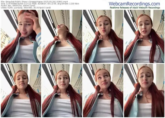 2025/05/28/stripchat-snappyhappy-13-28-01