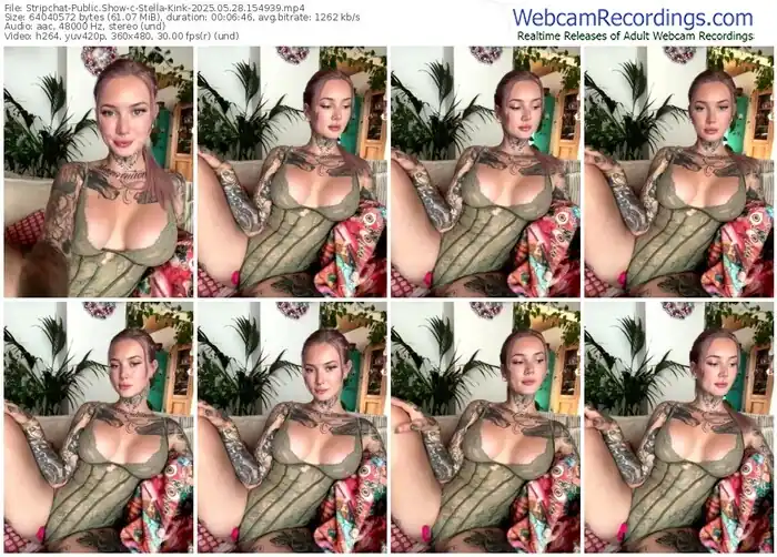 2025/05/28/stripchat-stella-kink-15-49-39