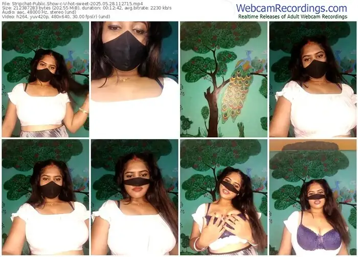 2025/05/28/stripchat-v-hot-sweet-11-27-15