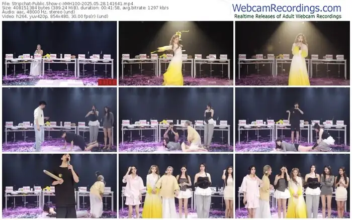 2025/05/28/stripchat-xmh100-14-16-41
