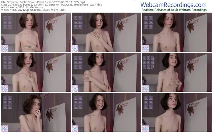 2025/05/28/stripchat-erlinegolson-11-13-55