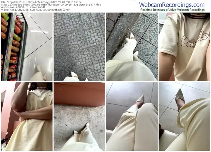 2025/05/28/stripchat-meii-meyy-03-21-19