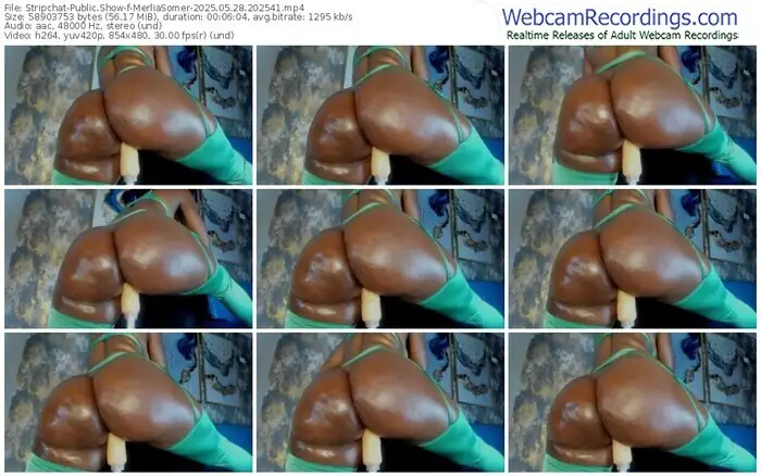 2025/05/28/stripchat-merliasomer-20-25-41