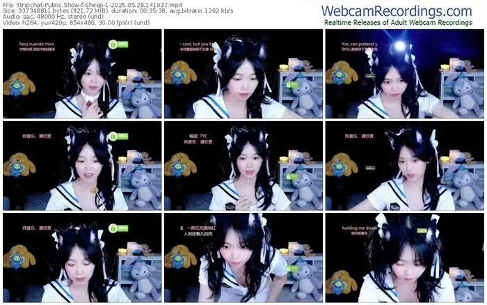 2025/05/28/stripchat-sheep-1-14-19-37