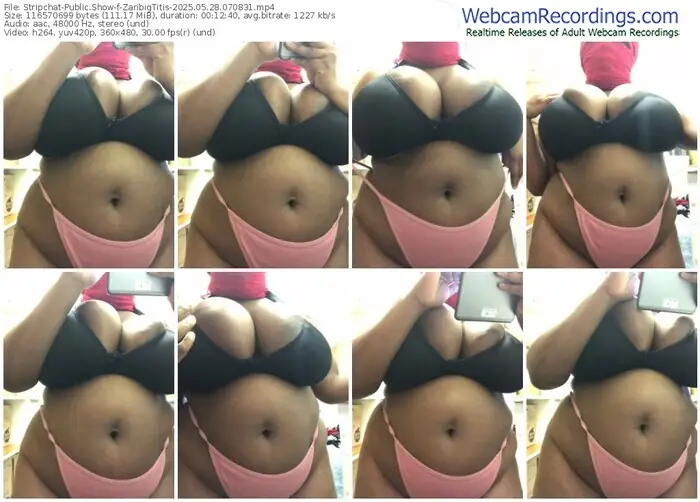 2025/05/28/stripchat-zaribigtitis-07-08-31