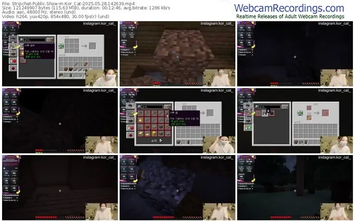 2025/05/28/stripchat-kor_cat-14-26-39
