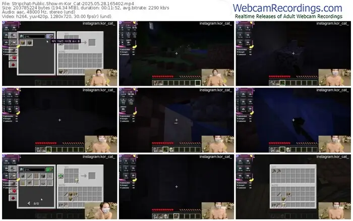 2025/05/28/stripchat-kor_cat-16-54-02