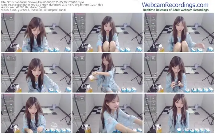 2025/05/29/stripchat-facai6666-17-36-05