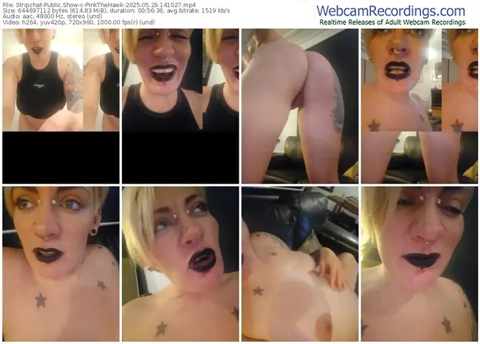 2025/05/29/stripchat-pinkthehawk-14-10-27