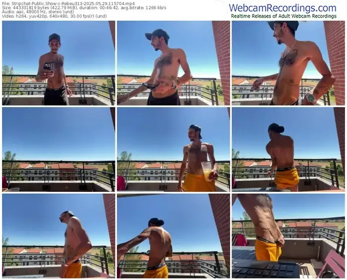 2025/05/29/stripchat-rebeu313-11-57-04