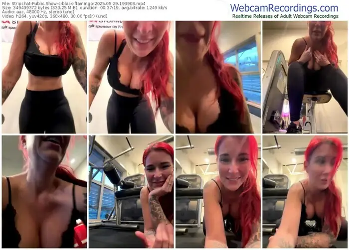 2025/05/29/stripchat-black-flamingo-19-39-03