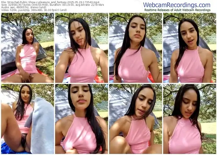 2025/05/29/stripchat-pleasure_and_fantasy-17-35-40