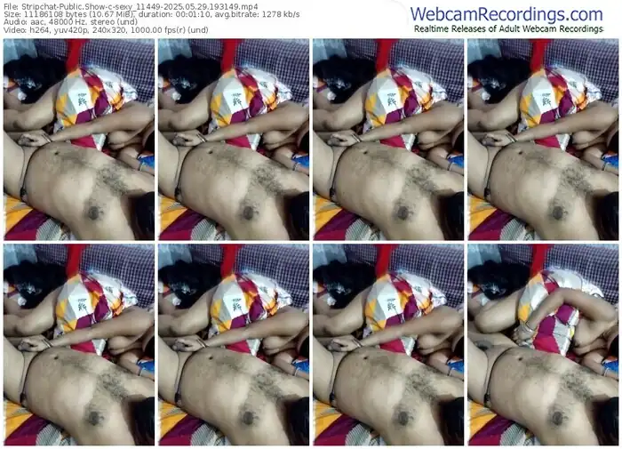 2025/05/29/stripchat-sexy_11449-19-31-49