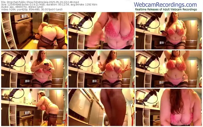 2025/05/29/stripchat-endrocleia-22-11-48