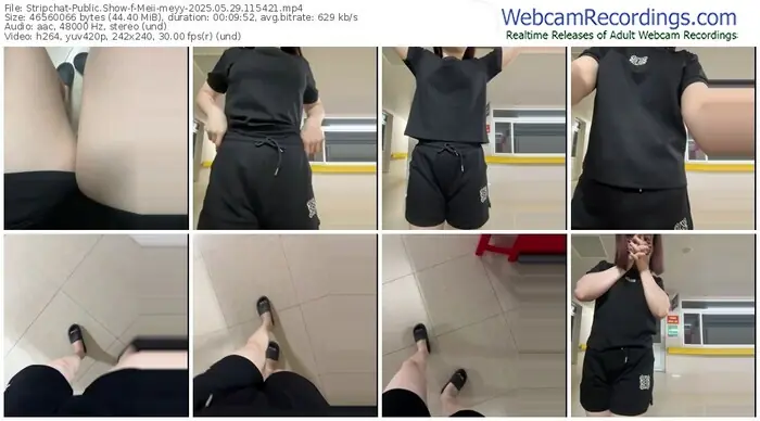 2025/05/29/stripchat-meii-meyy-11-54-21