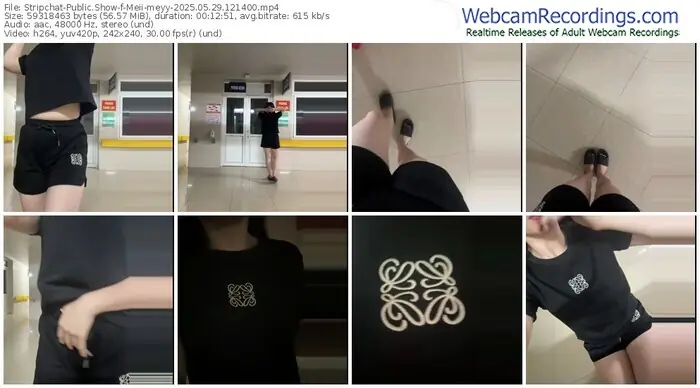 2025/05/29/stripchat-meii-meyy-12-14-00