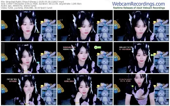 2025/05/29/stripchat-sheep-1-13-26-27