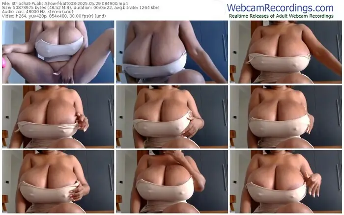 2025/05/29/stripchat-katt008-08-49-00