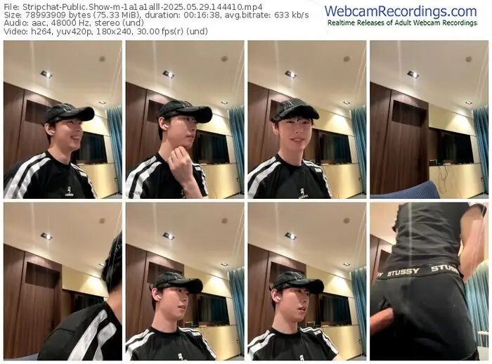 2025/05/29/stripchat-1a1a1alll-14-44-10