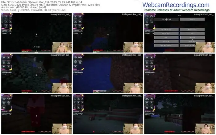 2025/05/29/stripchat-kor_cat-14-14-02