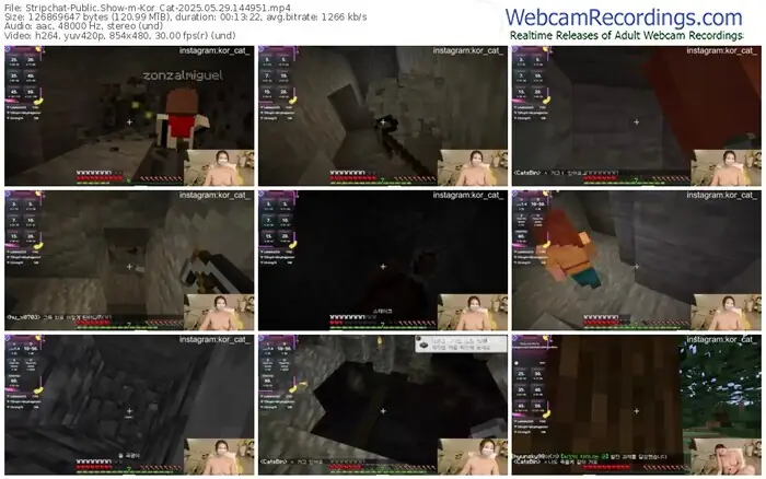 2025/05/29/stripchat-kor_cat-14-49-51