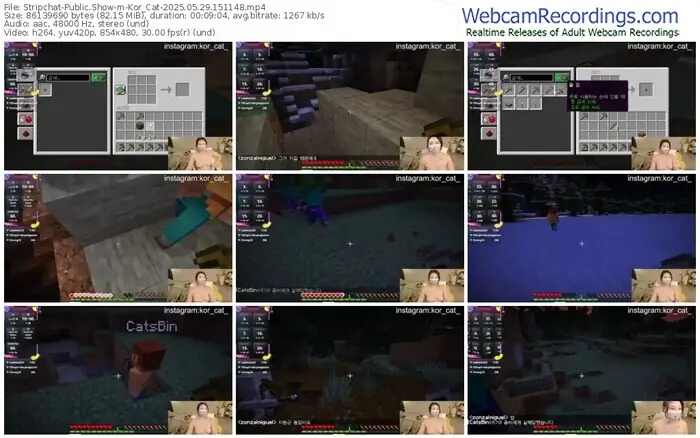 2025/05/29/stripchat-kor_cat-15-11-48