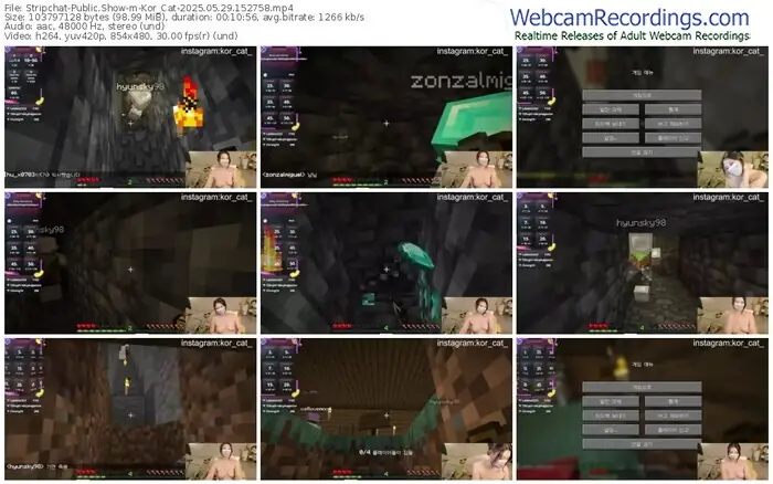 2025/05/29/stripchat-kor_cat-15-27-58