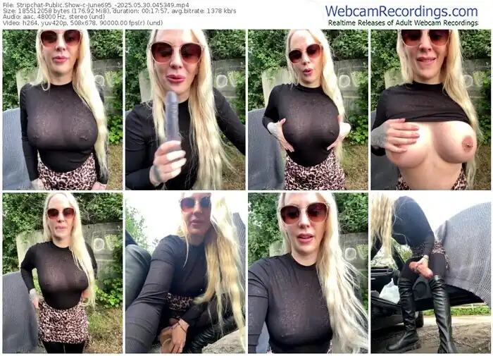 2025/05/30/stripchat-june695_-04-53-49