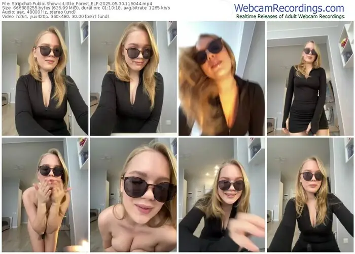 2025/05/30/stripchat-little_forest_elf-11-50-44