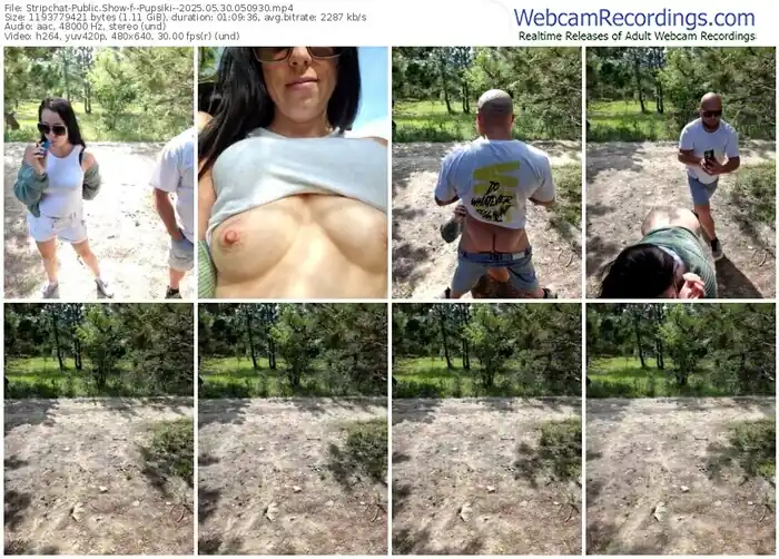 2025/05/30/stripchat--pupsiki--05-09-30