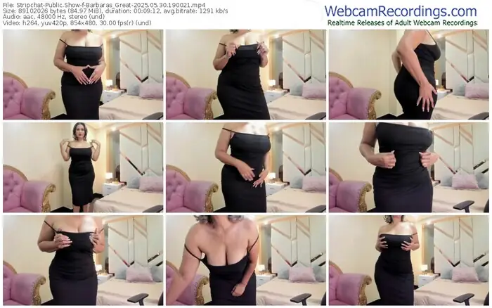 2025/05/30/stripchat-barbaras_great-19-00-21